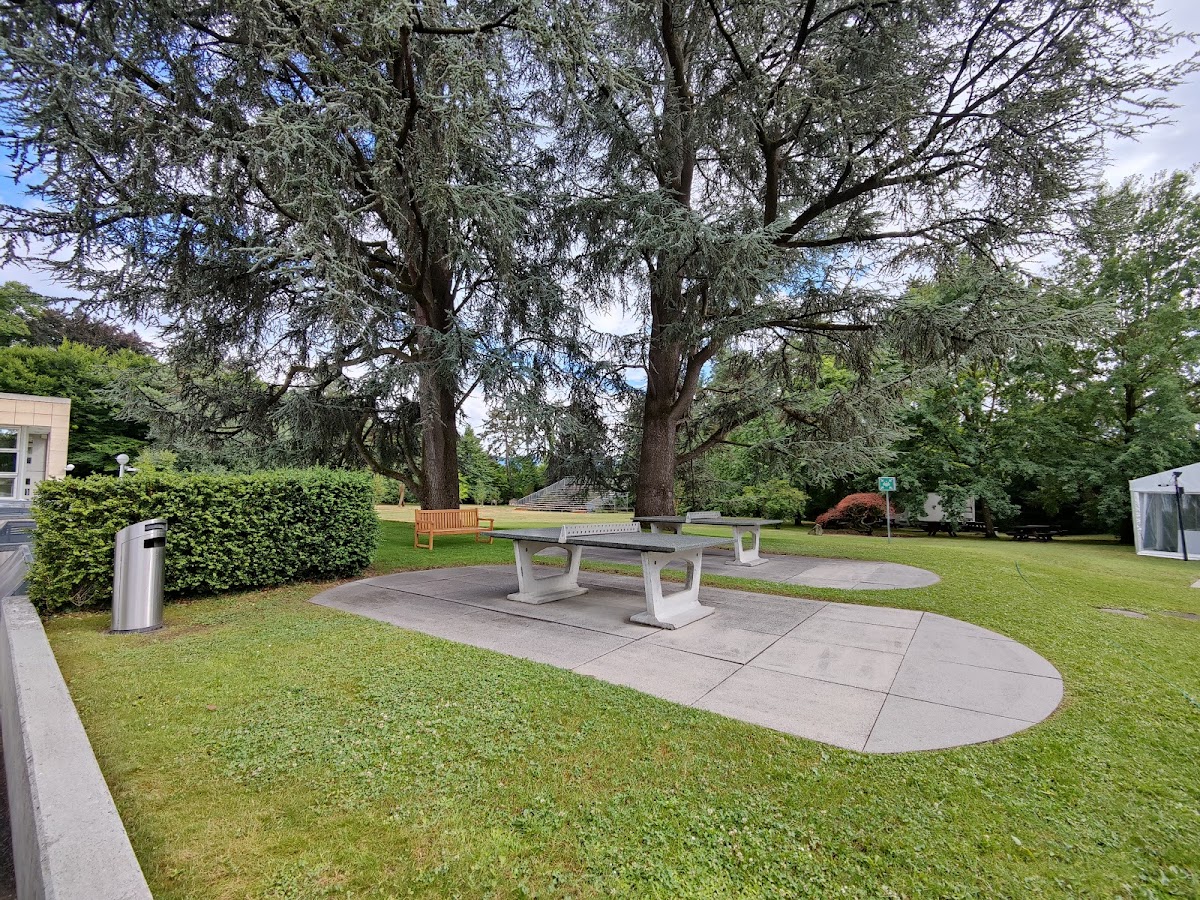 International Institute for Management Development (IMD) photo 4