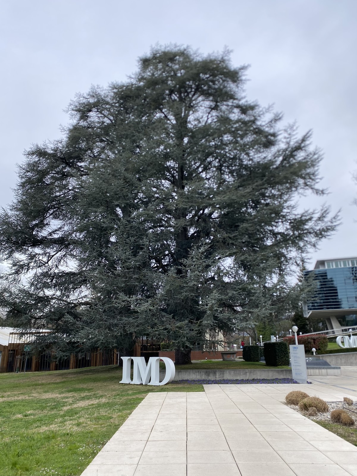 International Institute for Management Development (IMD) photo 9