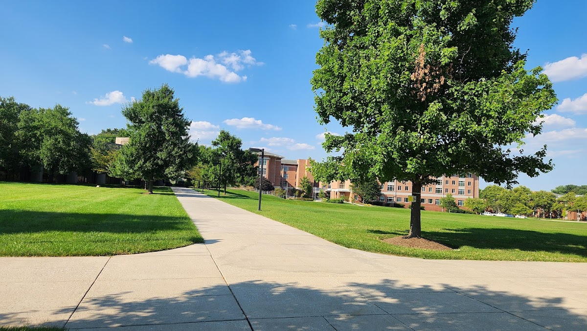 UMBC photo 3