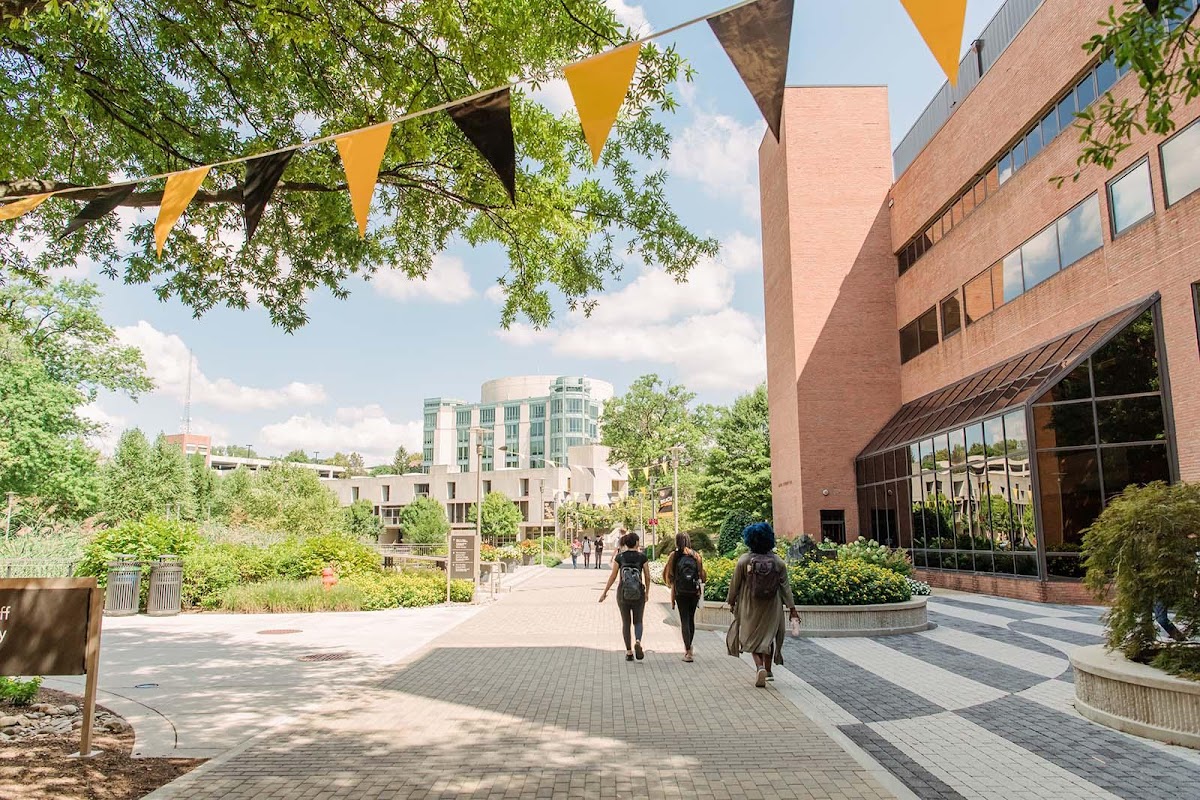 UMBC photo 4