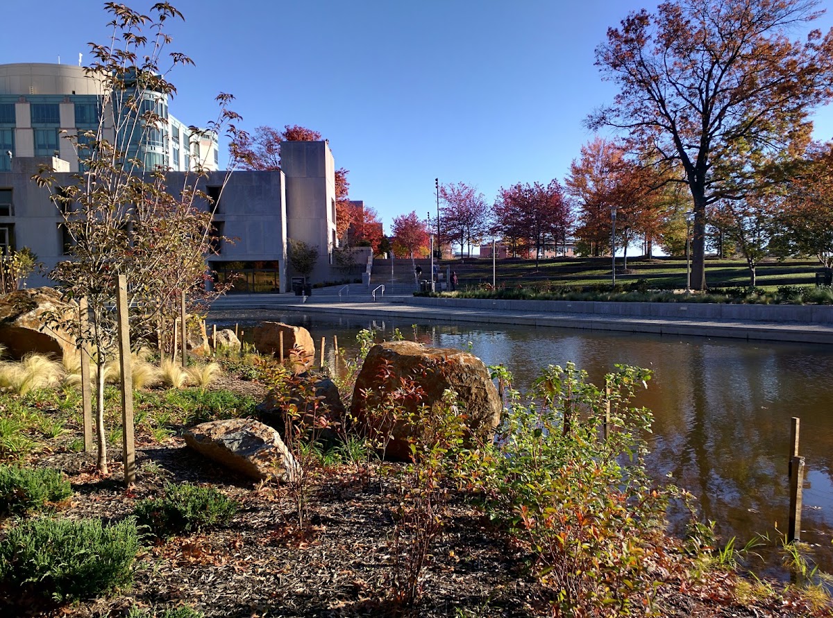 UMBC photo 5