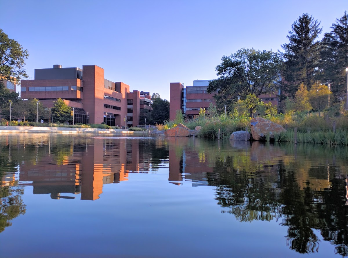UMBC photo 6