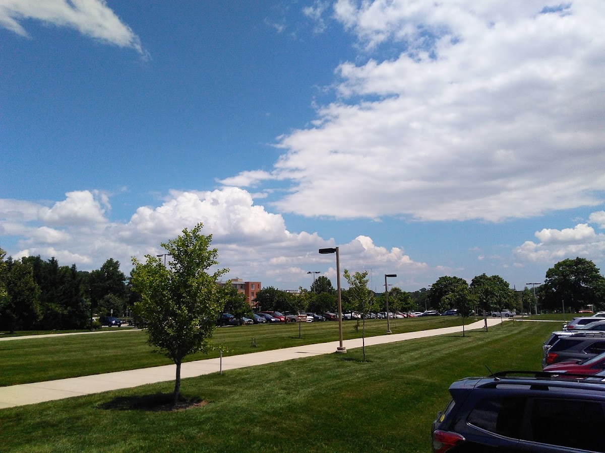 UMBC photo 8