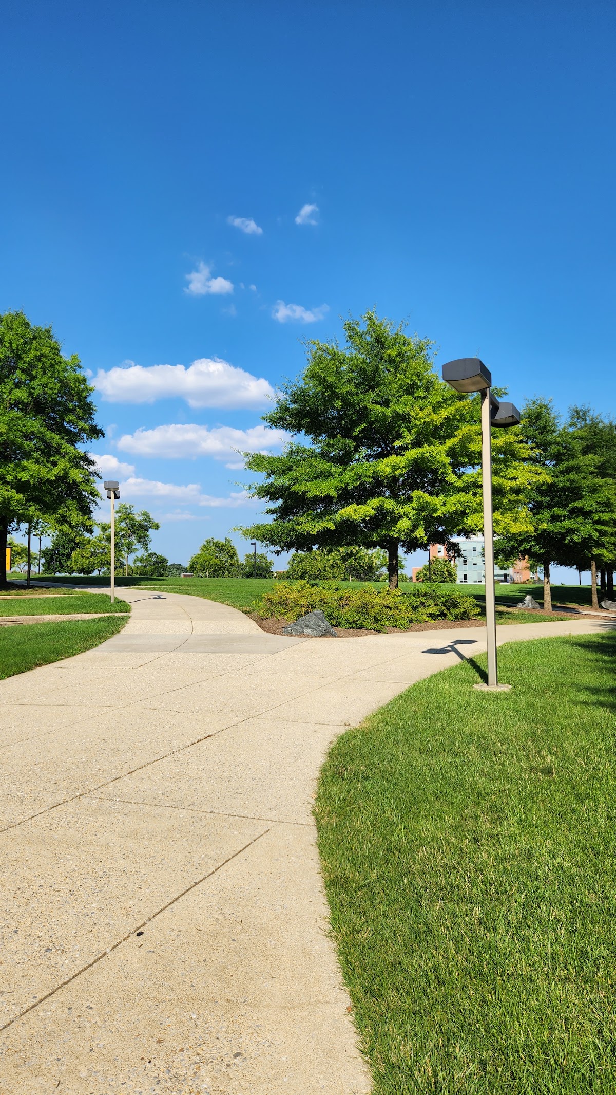 UMBC photo 9