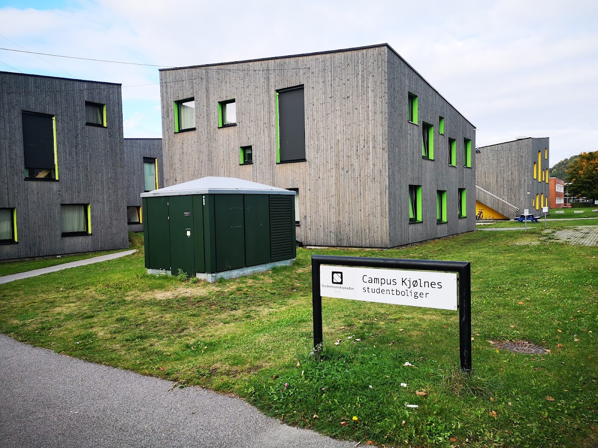 Telemark University College photo 1