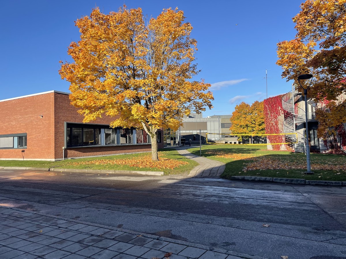 Telemark University College photo 2