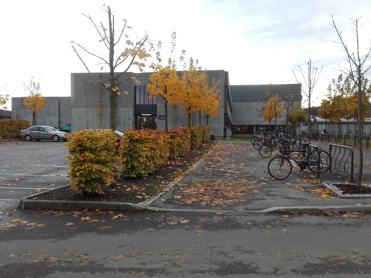 Telemark University College photo 3