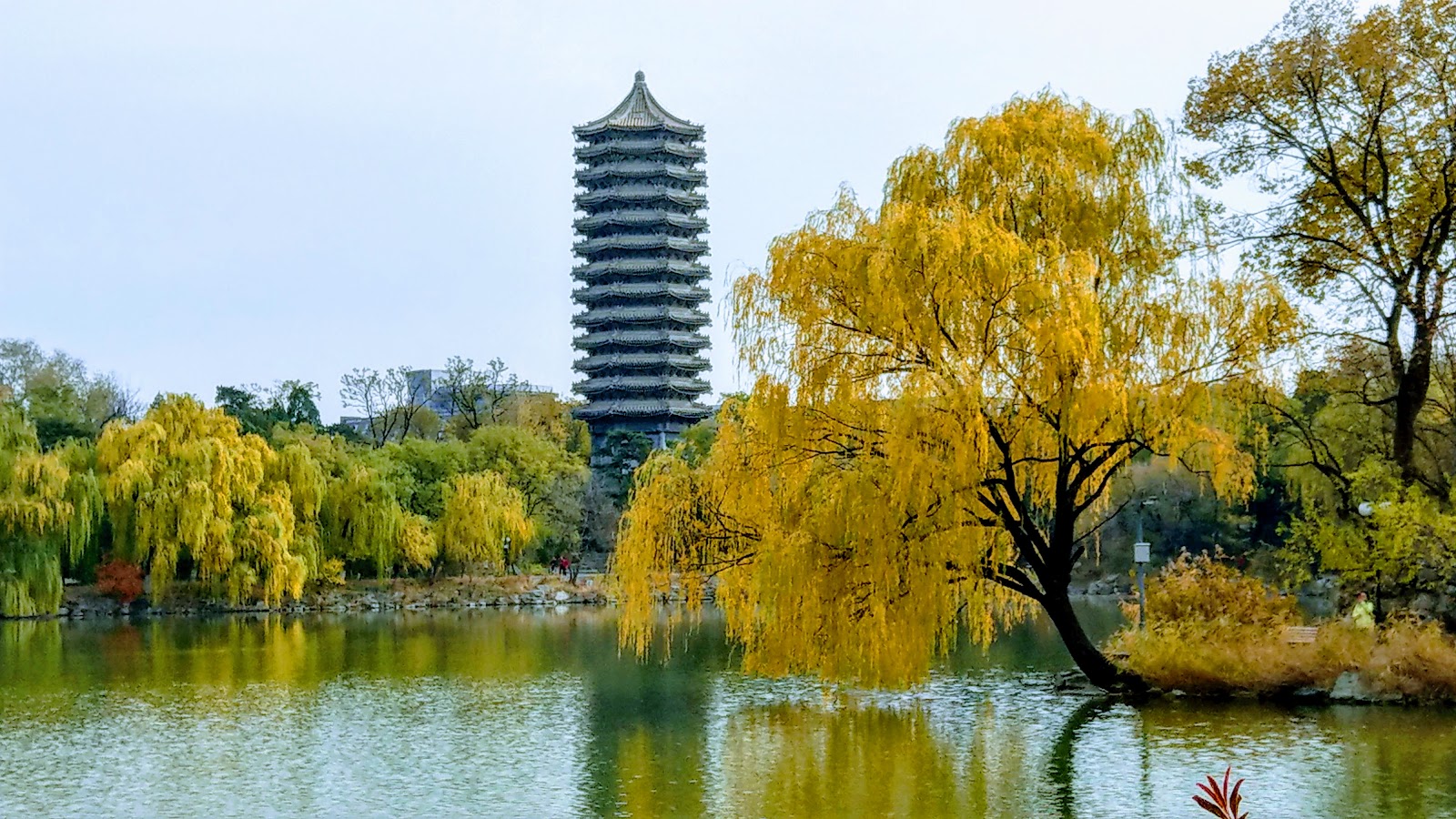 Peking University