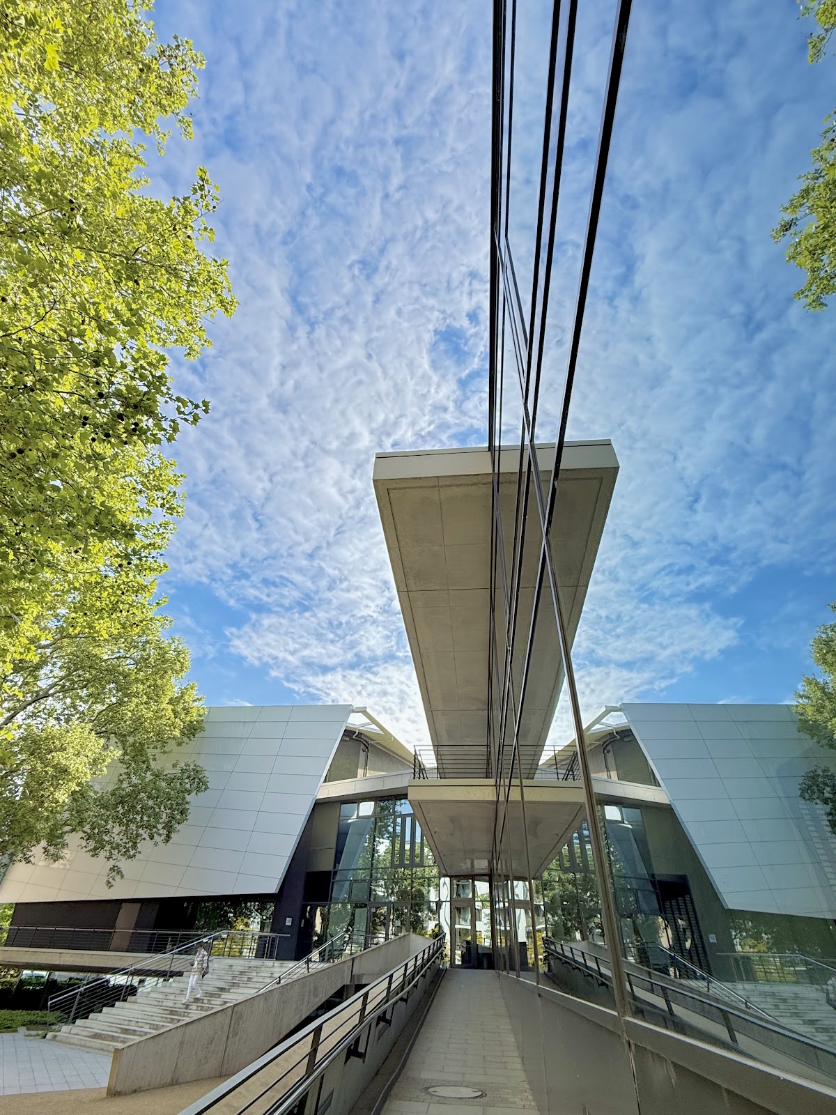 Hochschule für Musik Dresden photo 9