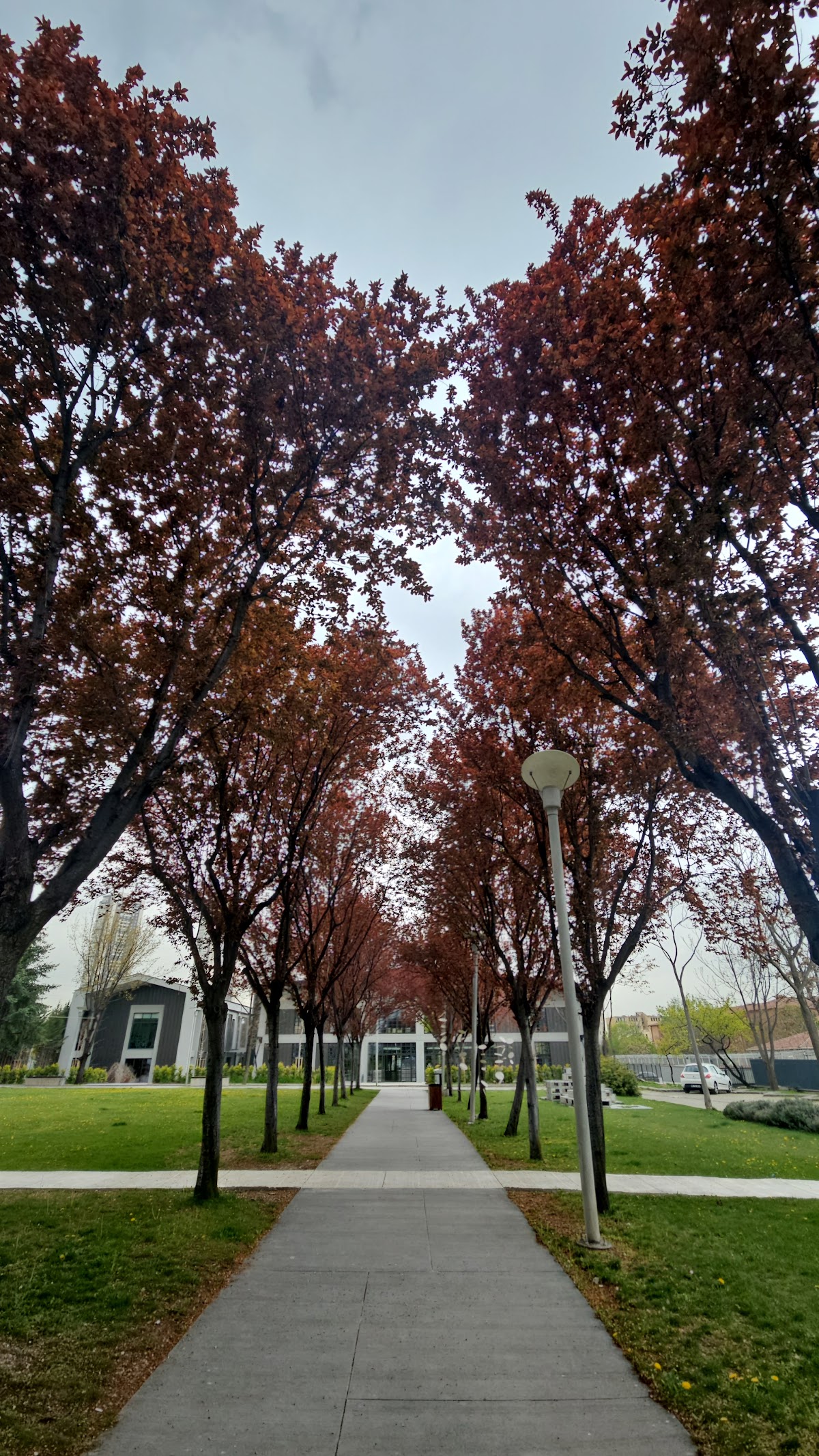 TOBB University of Economics and Technology photo 9