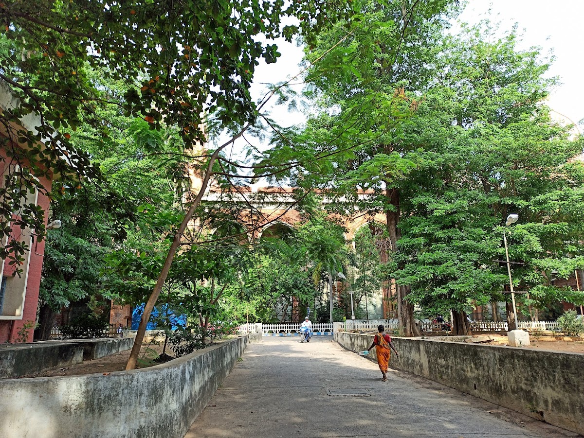 University of Madras photo 6