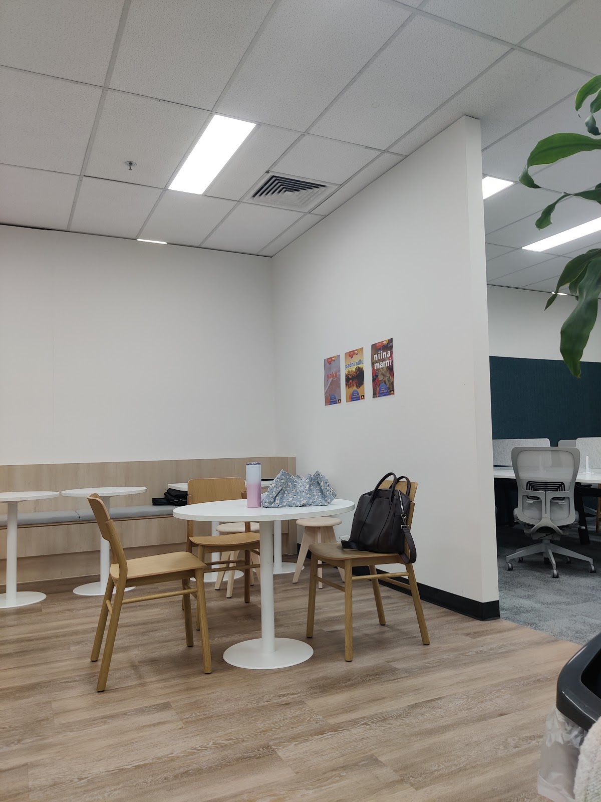 Torrens University Australia photo 8