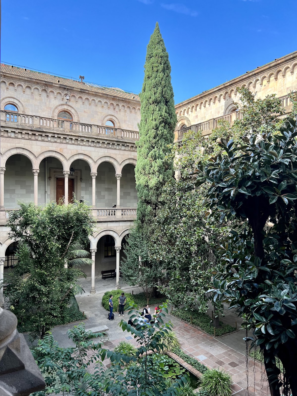 University of Barcelona photo 7