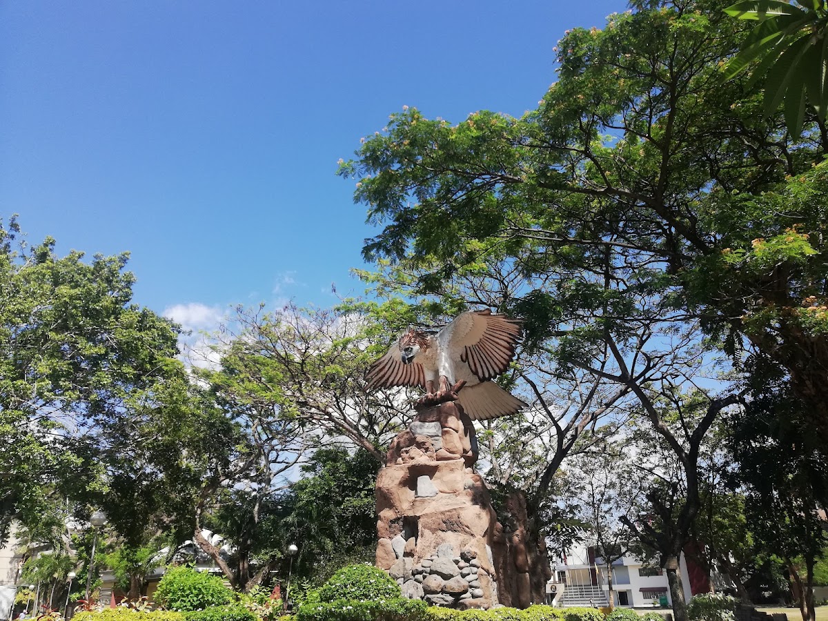 University of Southeastern Philippines photo 4