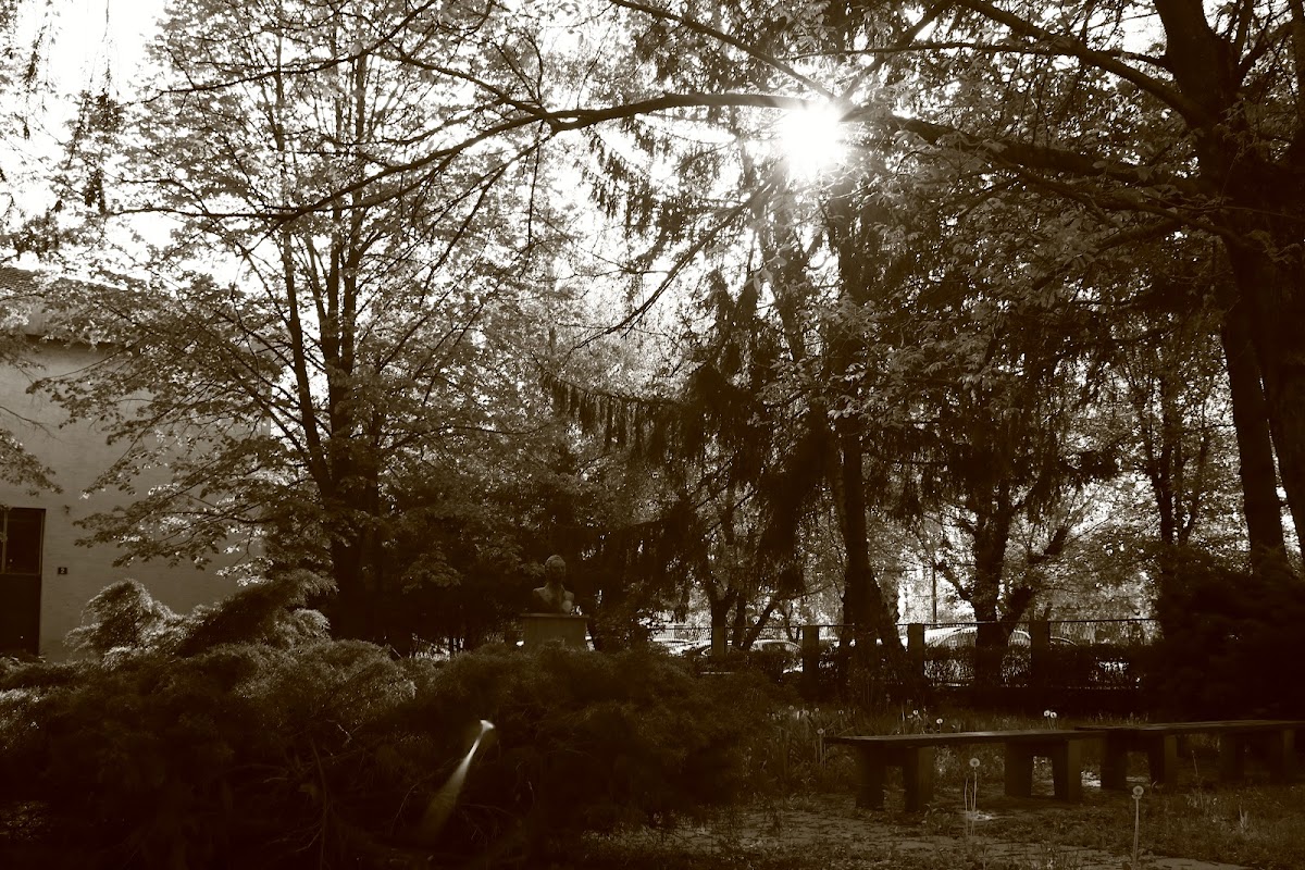 University North photo 5