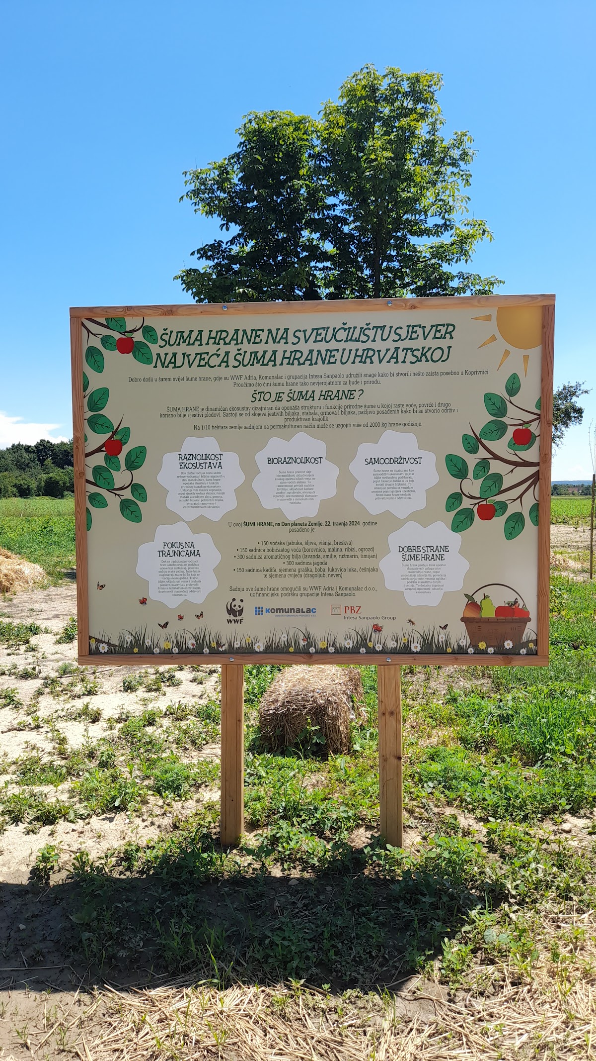 University North photo 7