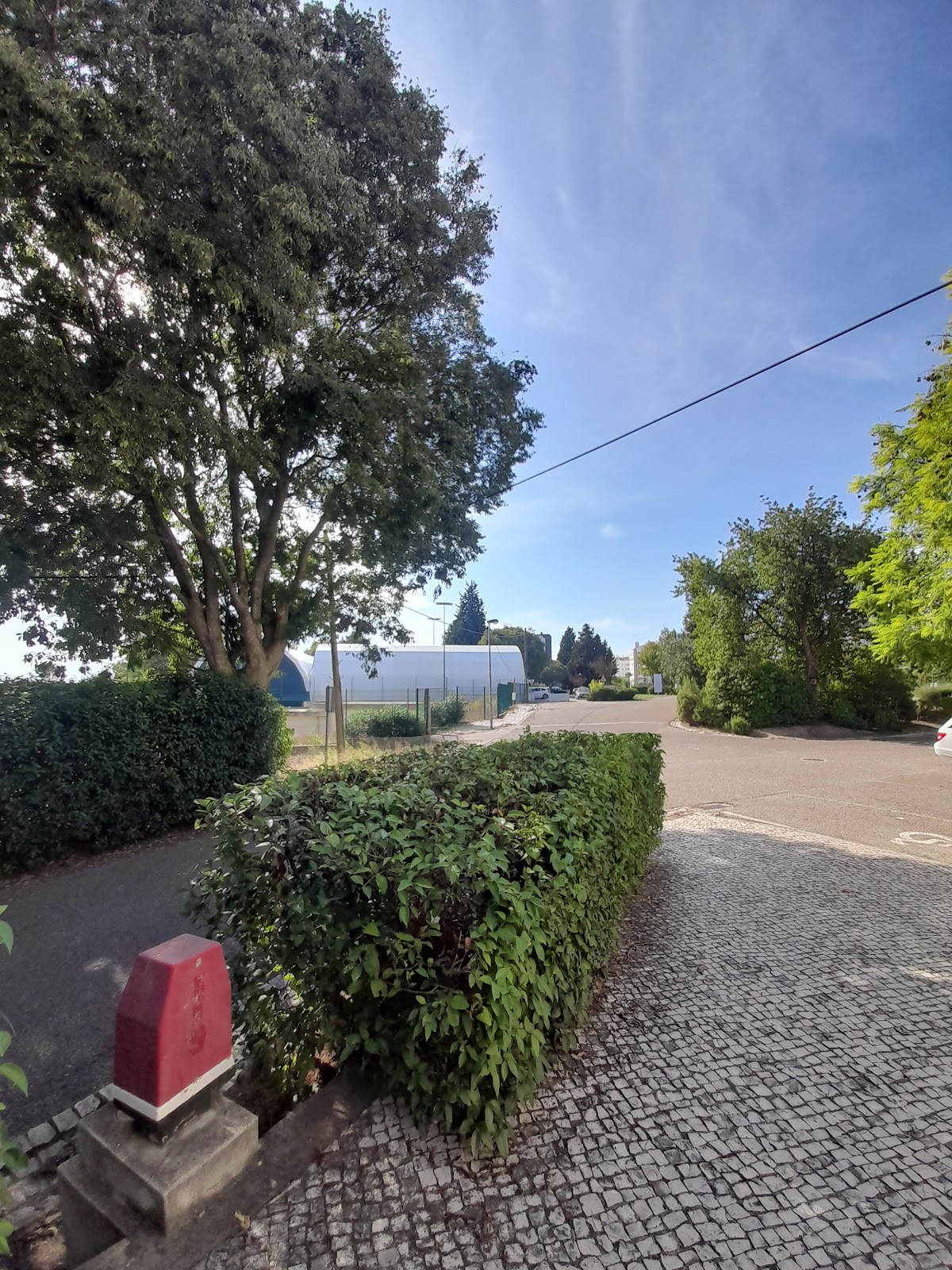 Instituto Politécnico de Santarém photo 6