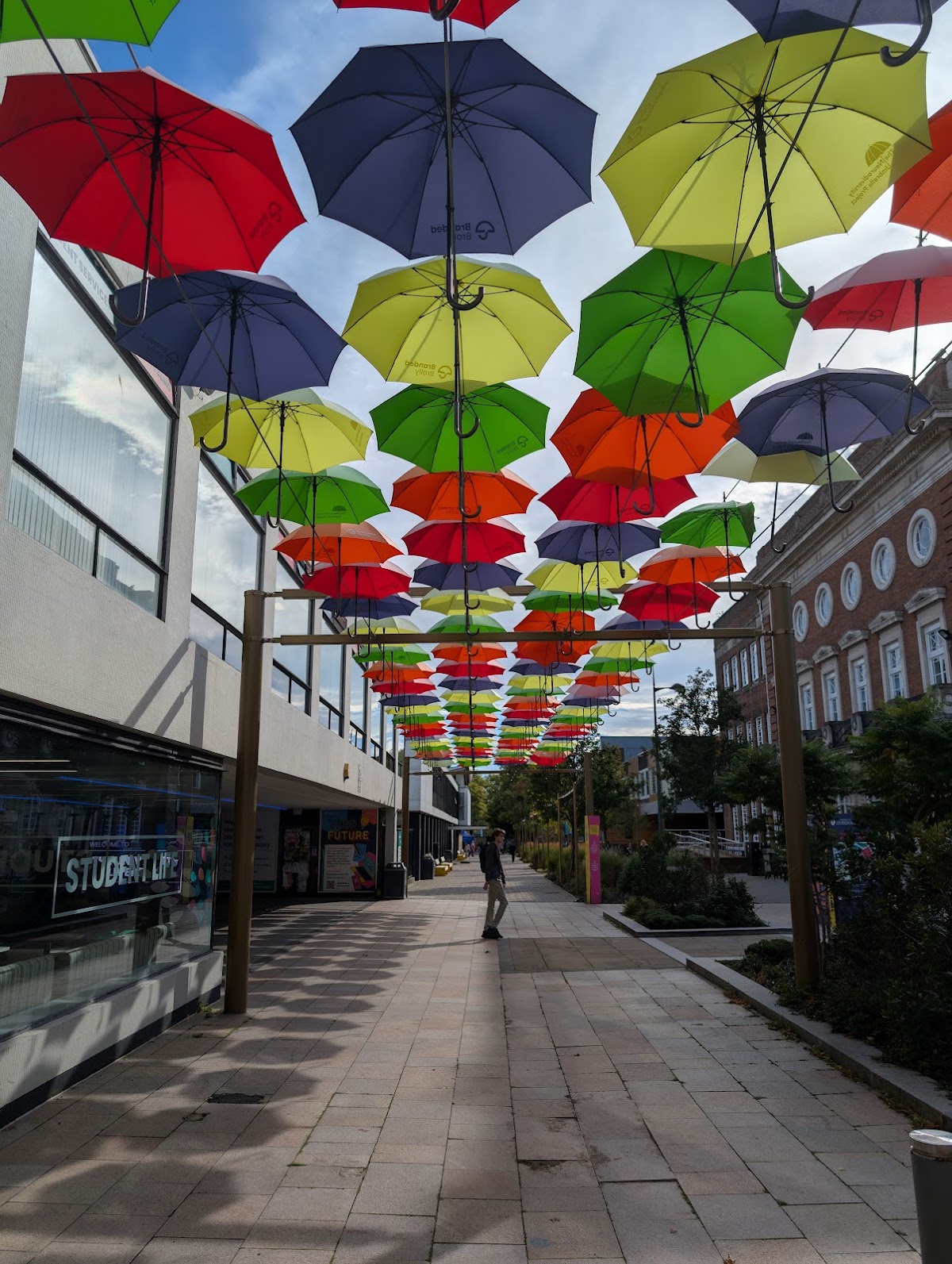 University of Liverpool photo 8