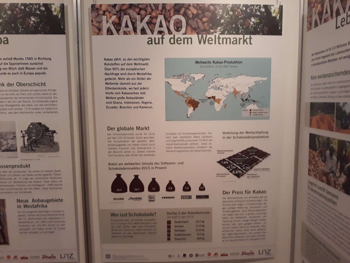 Catholic Private University Linz photo 4