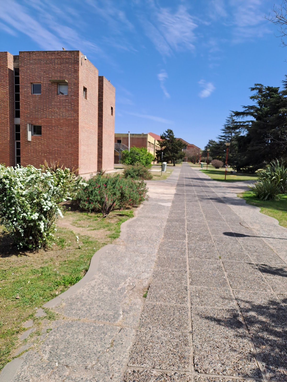 National University of Río Cuarto photo 6