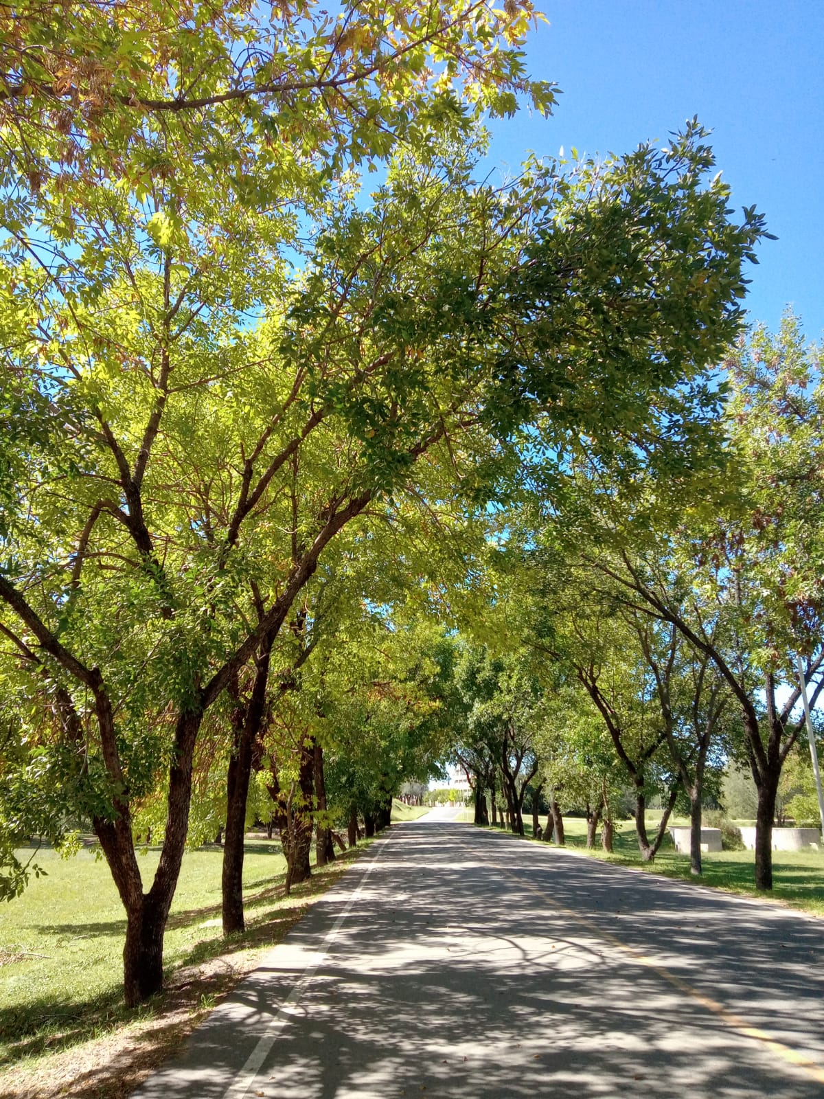 National University of Río Cuarto photo 7