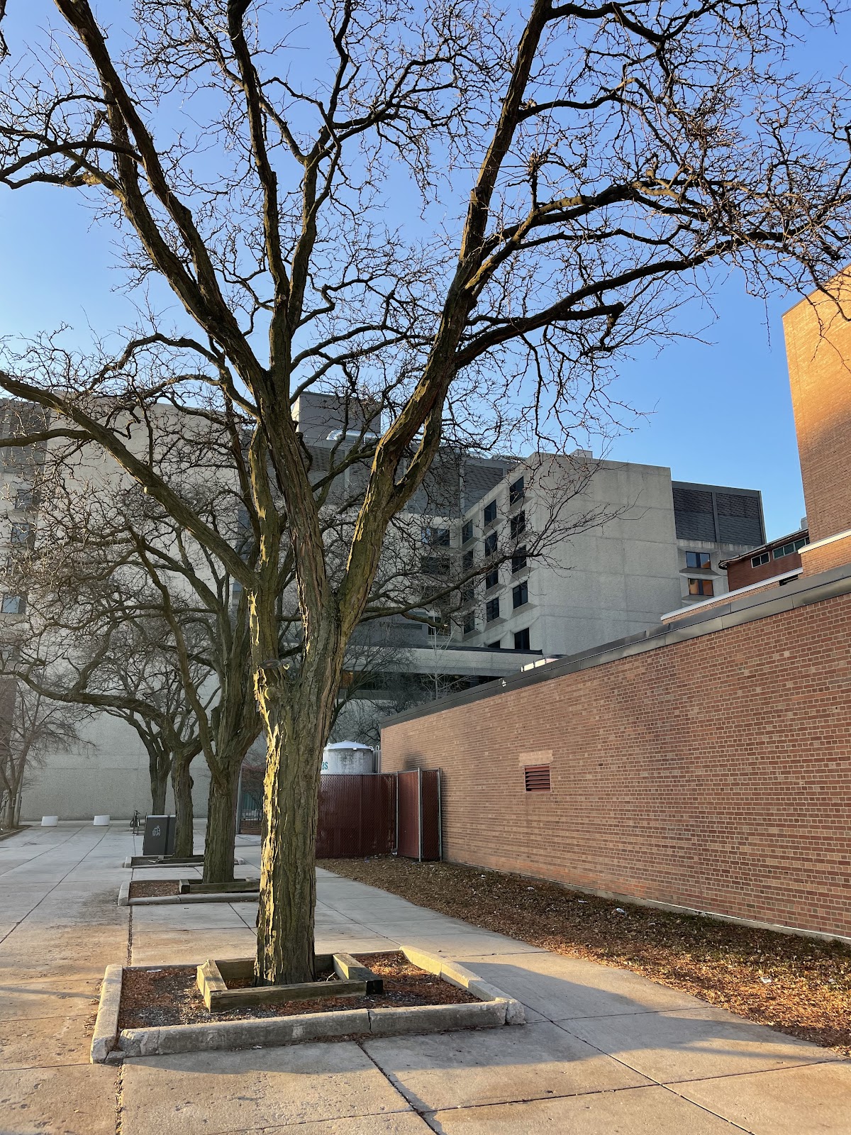 University of 1740 photo 9