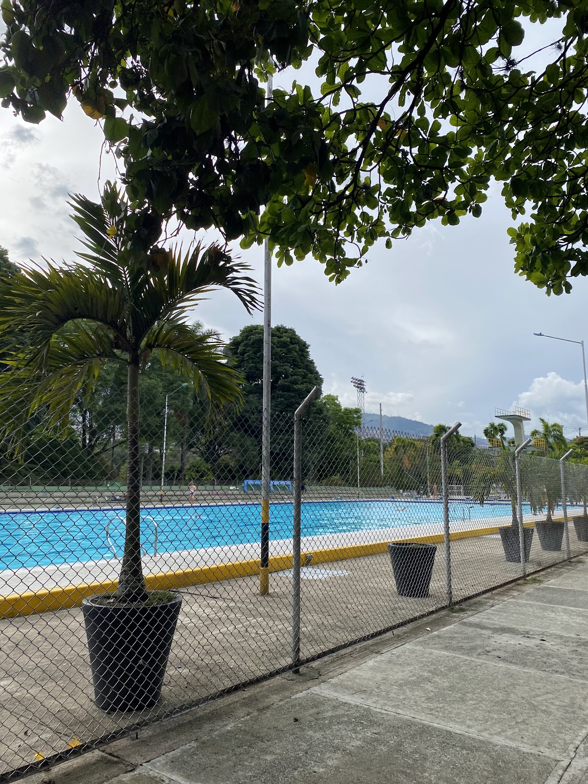 Universidad de Antioquia photo 8