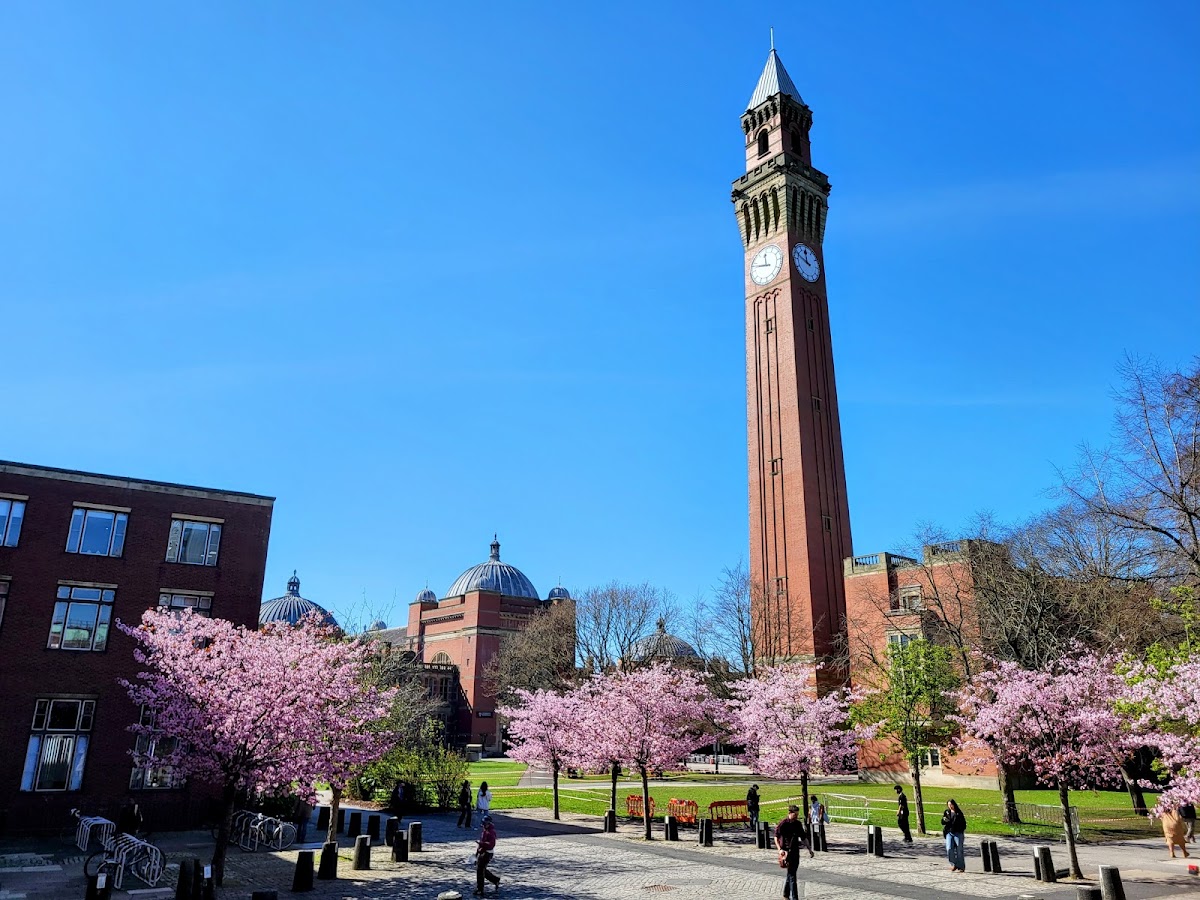 University of Birmingham photo 3