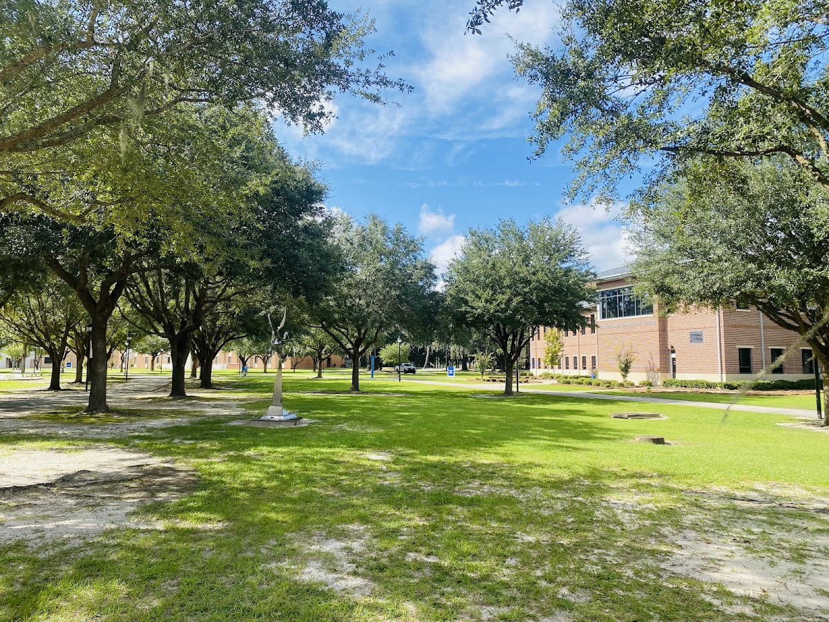 Savannah State photo 2