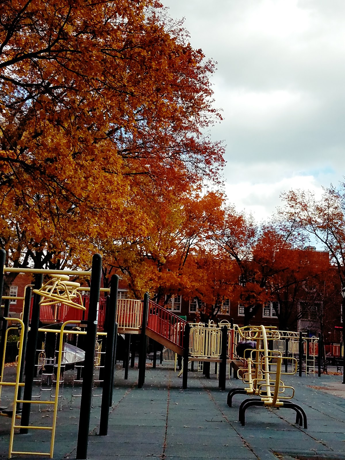 CUNY Queens College photo 8