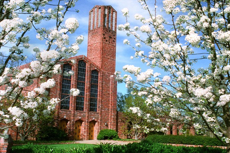 Mississippi State University photo 2