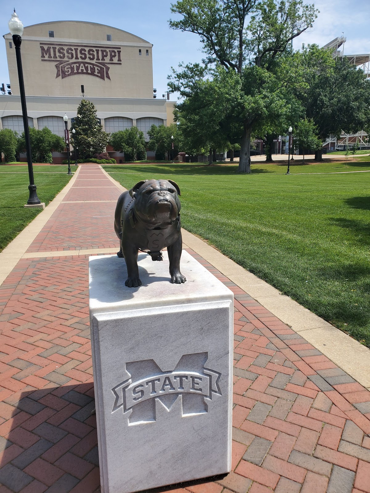 Mississippi State University photo 9