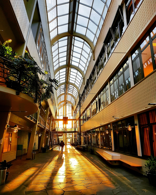 The Arctic University of Norway - Narvik photo 7