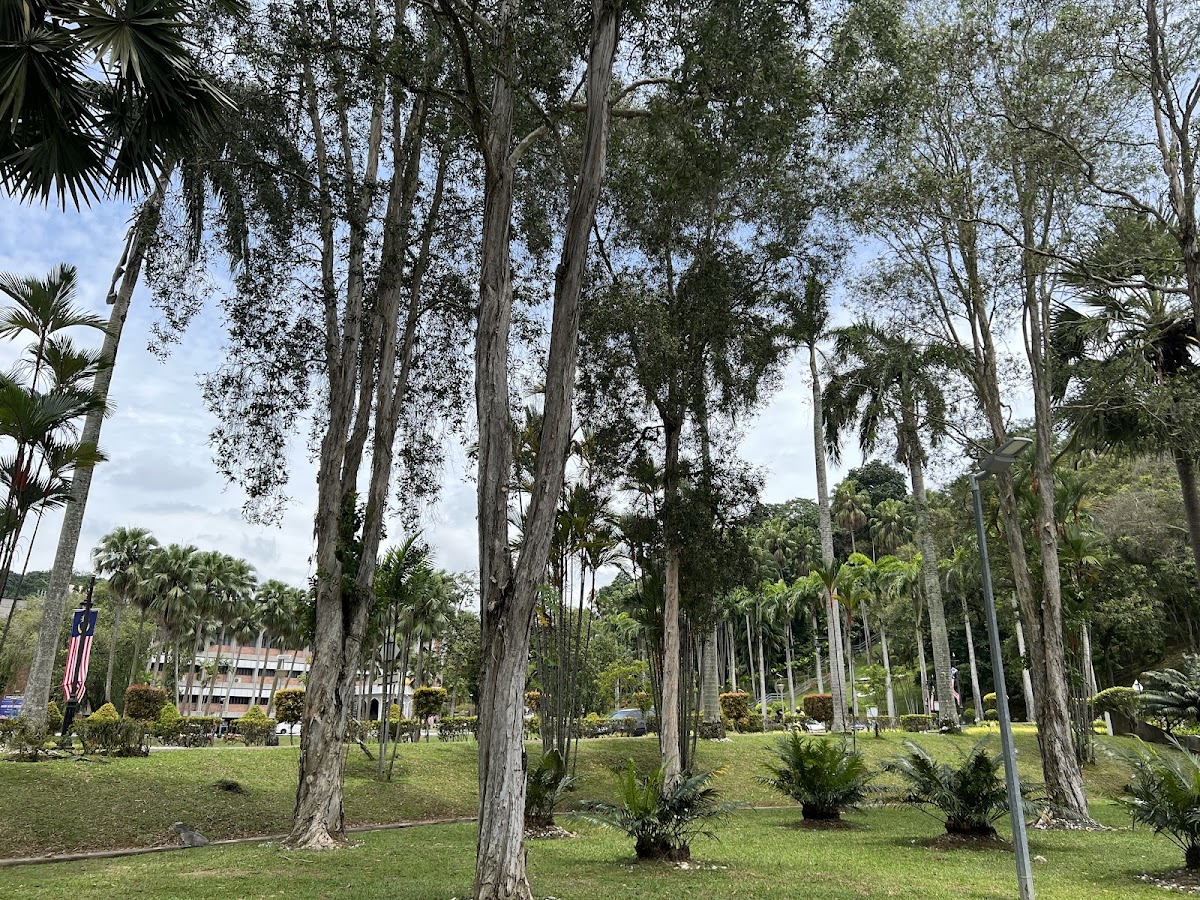 Universiti Kebangsaan Malaysia photo 5