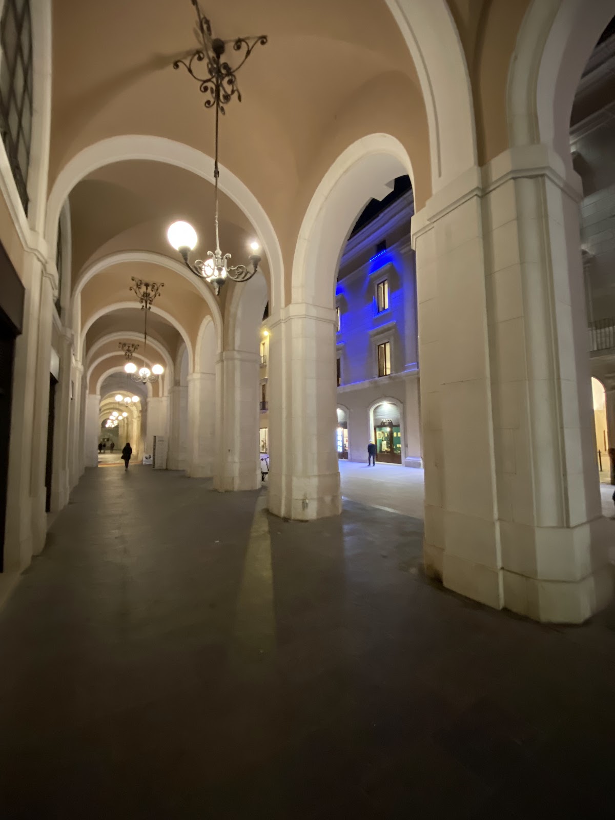 University of L'Aquila photo 8