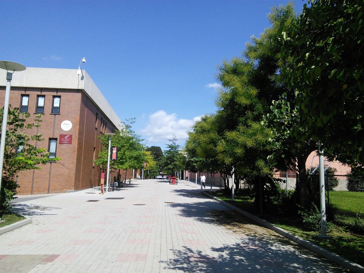 CUNY York College photo 5