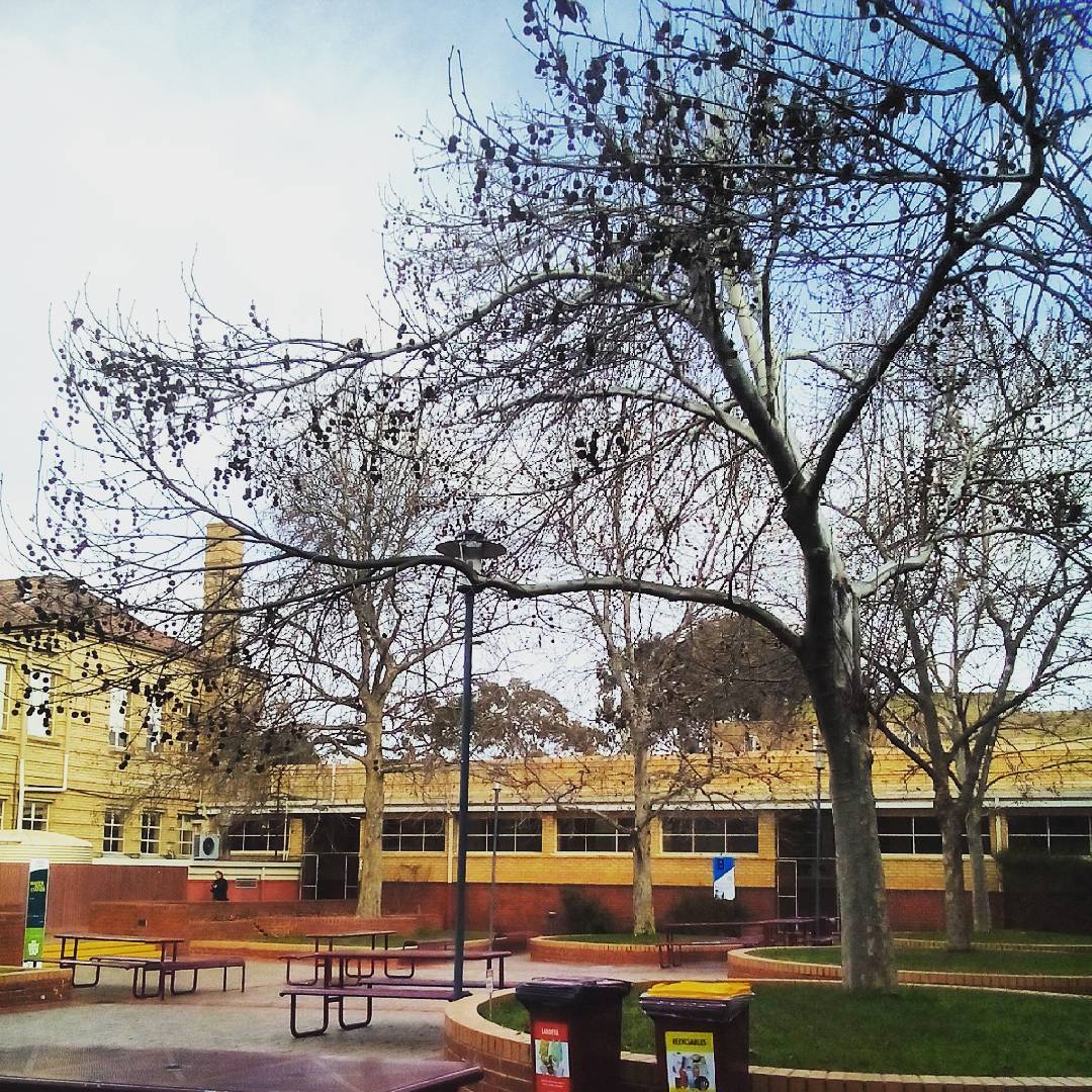 Melbourne Polytechnic photo 6