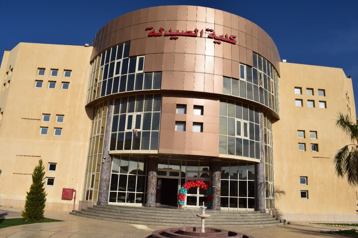 Egyptian Russian University photo 4
