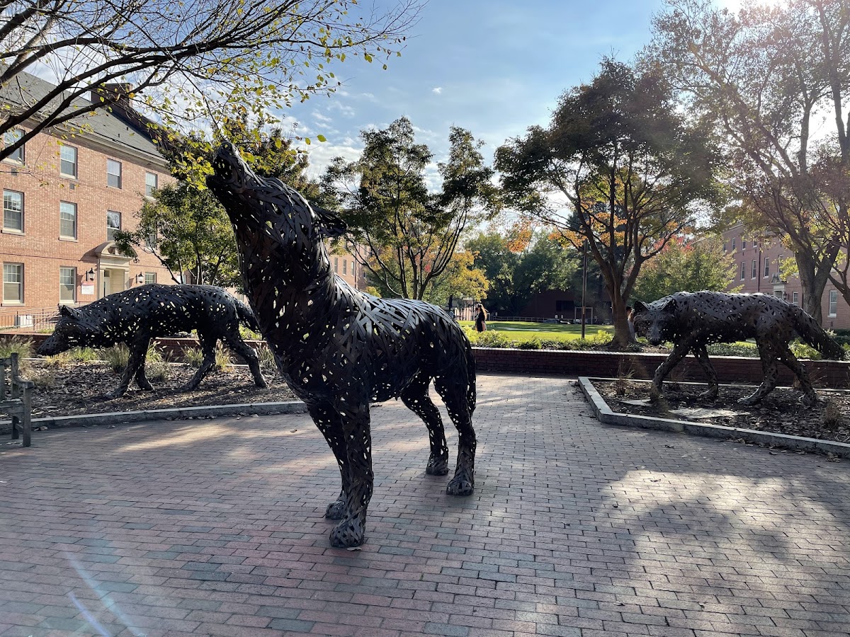 North Carolina State photo 3