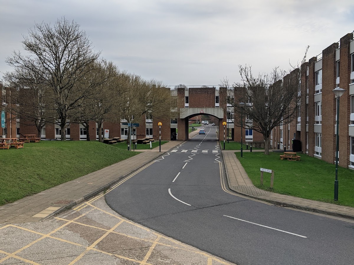 University of Sussex photo 3