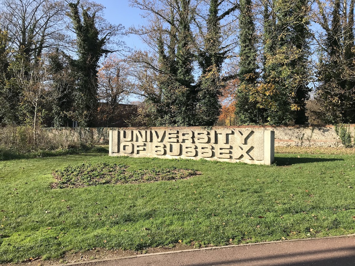 University of Sussex photo 4