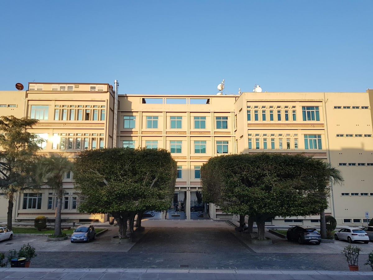 University of Messina photo 5