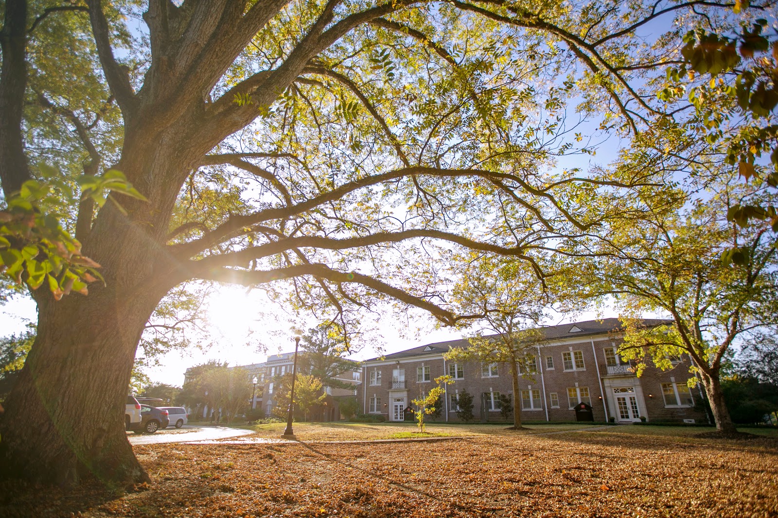 University of West Alabama campus