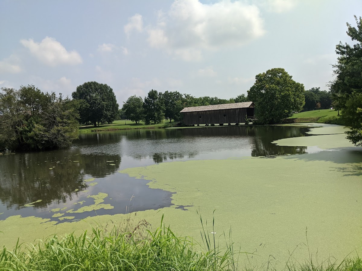 University of West Alabama photo 5