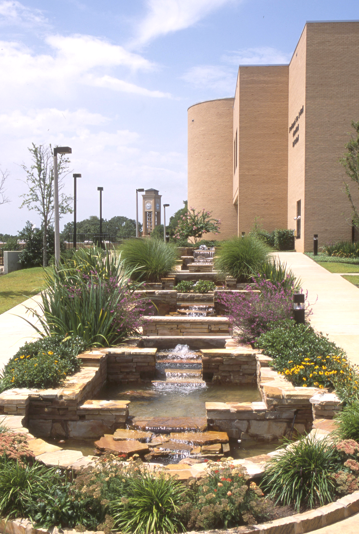 UT Tyler photo 9