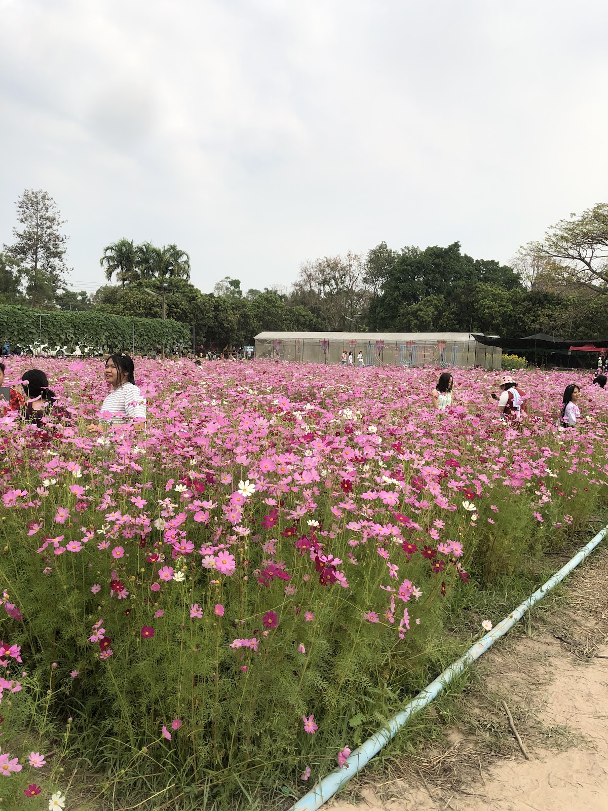 Ubon Ratchathani University photo 8