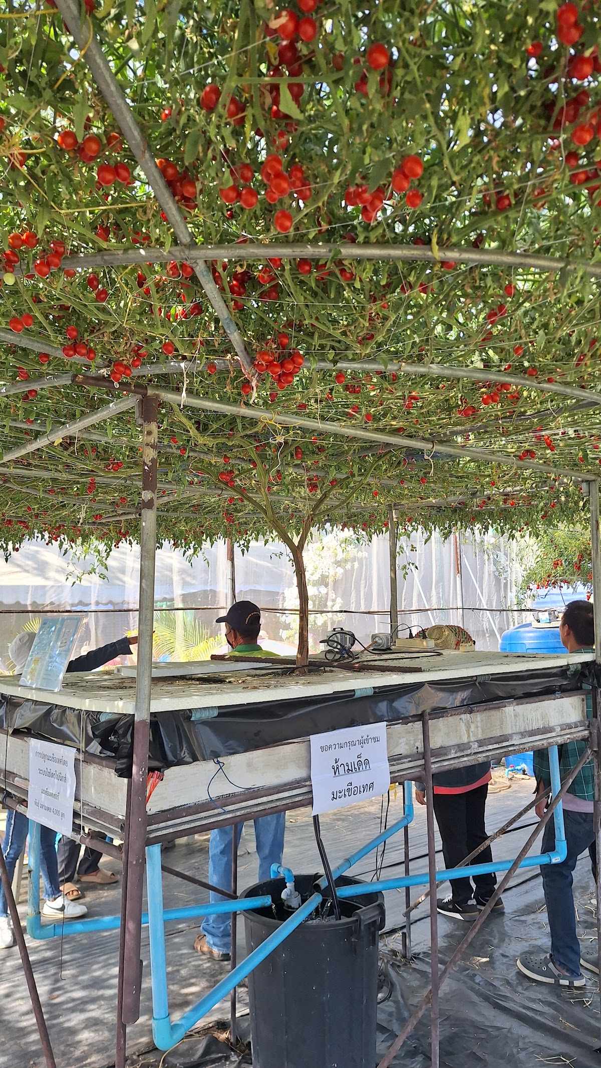 Ubon Ratchathani University photo 9