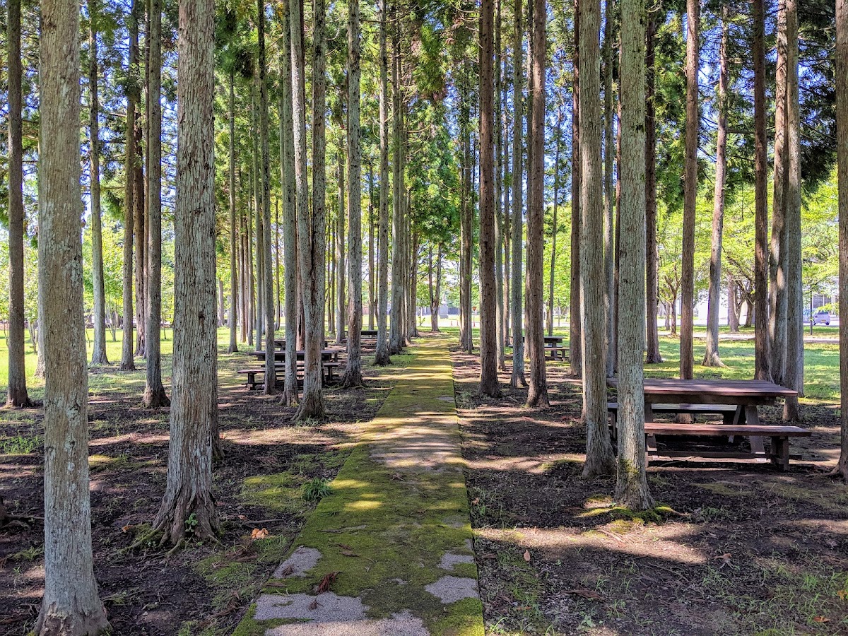 Akita International University photo 4