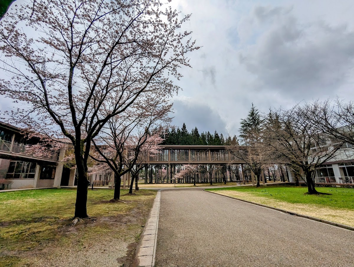 Akita International University photo 6