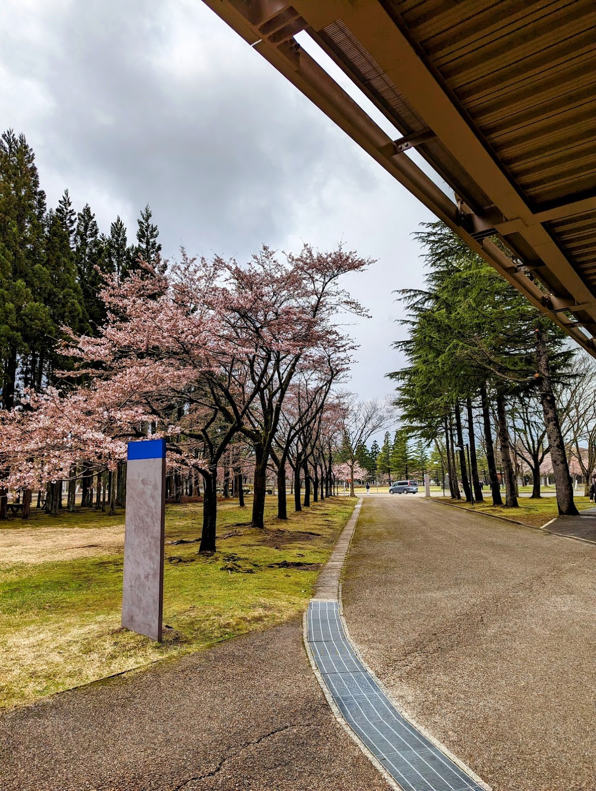 Akita International University photo 7
